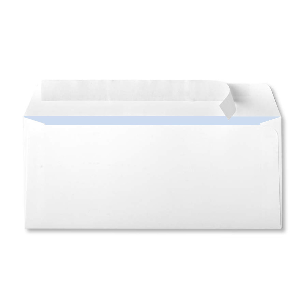 #10 Peel & Seal Envelope w/ Blue Security Tint
