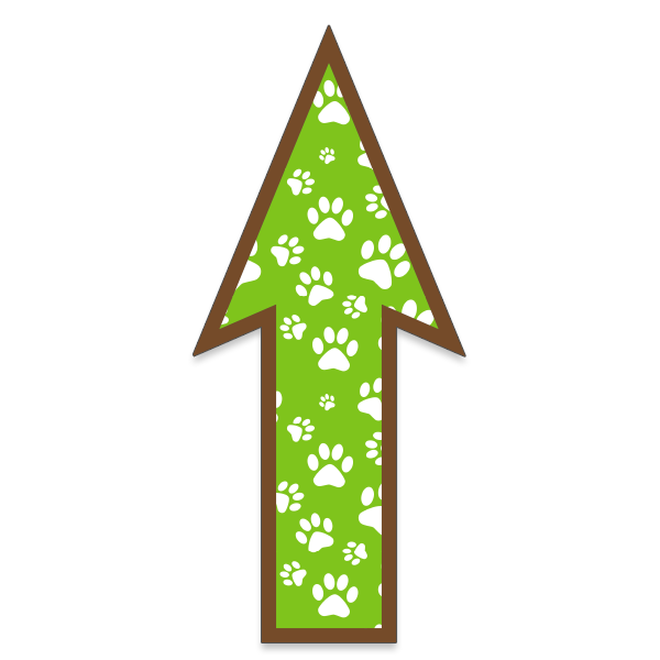 FloorWallStickers Fun Product Images Green Paws