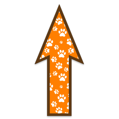 FloorWallStickers Fun Product Images Orange Paws
