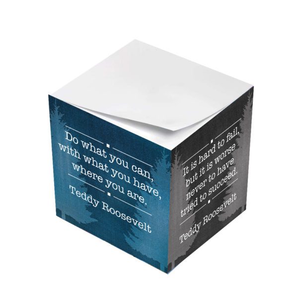 Teddy Roosevelt Do What You Can With What You Have Sticky Note Cubes