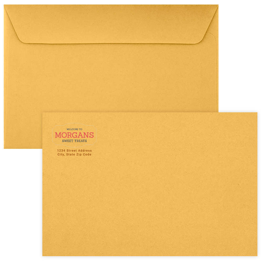 6 x 9 Booklet Envelopes