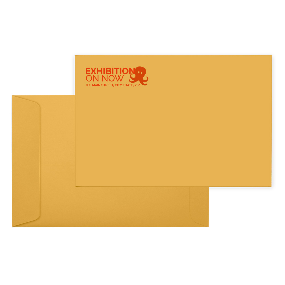 6 x 9 Catalog Open End Envelopes