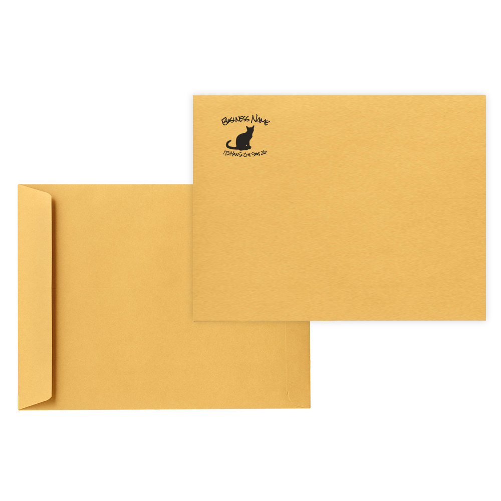 10 x 13 Catalog Open End Envelopes