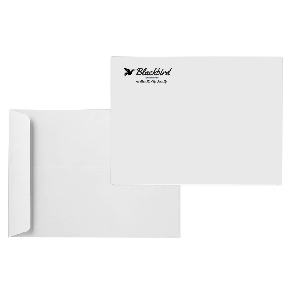 10 x 13 Catalog Envelopes