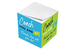 Assorted Sticky Note Cubes